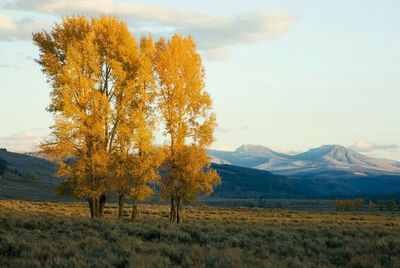 Scenic view of landscape against cloudy sky