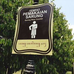 Close-up of road sign against trees