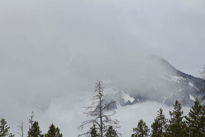 Low angle view of snowcapped mountains against sky