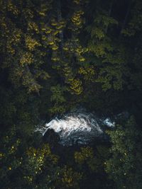 High angle view of water flowing through rocks