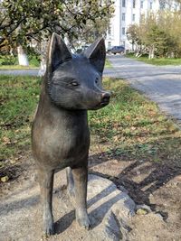 Close-up of a dog looking away