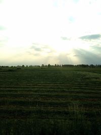 Scenic view of field against sky