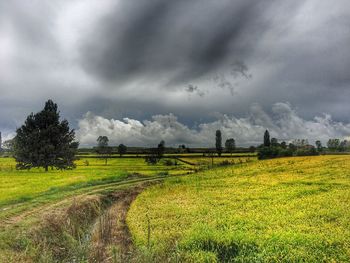 Scenic view of field against cloudy sky