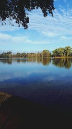 Reflection of trees in calm lake