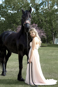 Horse on field against trees