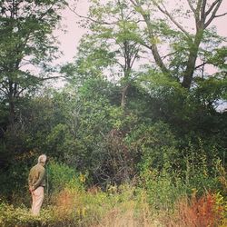 Rear view of men on footpath amidst trees against sky