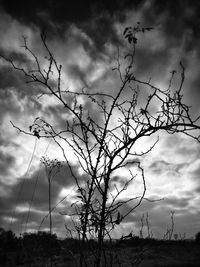 Scenic view of field against cloudy sky