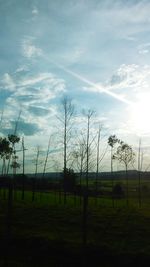 Scenic view of grassy field against sky