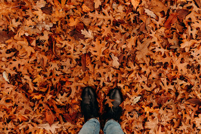 Low section of person standing on dry maple leaves during autumn