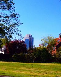 Trees in city against clear sky