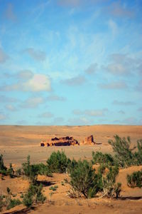 View of horse on landscape against sky