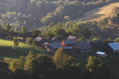 High angle view of trees and buildings