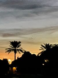 Silhouette palm trees against sky during sunset