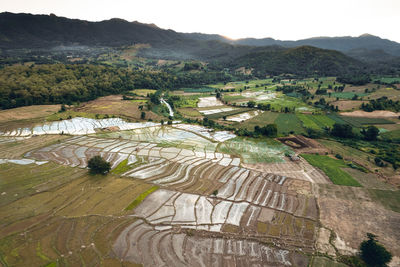 High angle view of agricultural landscape