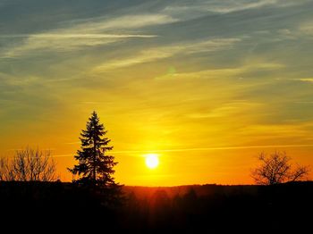 Silhouette of trees on landscape at sunset