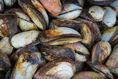 Full frame shot of onions for sale