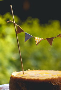 Close-up of birthday cake decorated with flag bunting