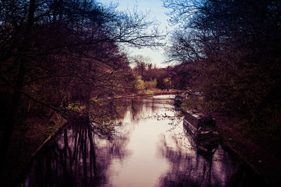 Reflection of trees in water against sky