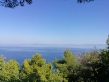 Scenic view of sea against clear blue sky