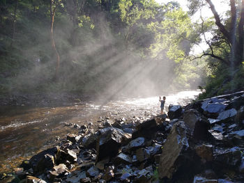 Man surfing on rock in forest