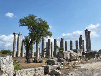 Corinthian columns of zeus olbios temple,  uzuncaburc, silifke, mersin province, turkey