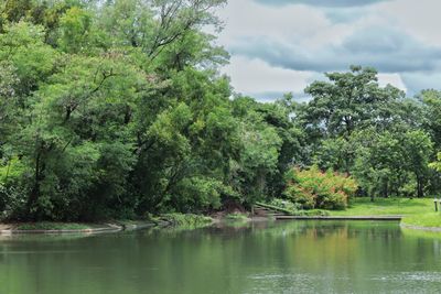 Scenic view of lake in forest against sky