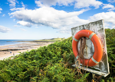 Life belt on wood by trees against sky