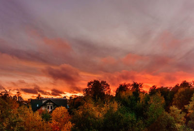 Trees and plants against sky during sunset