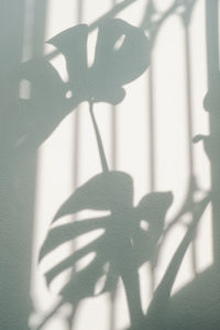 Shadow of person hand on wall