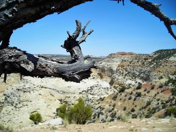 Low angle view of rock formation