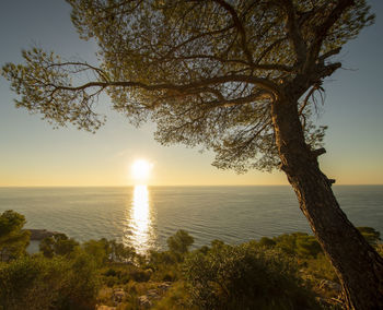 Scenic view of sea against sky during sunset