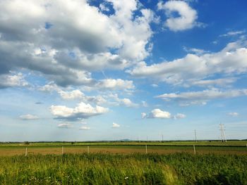 Scenic view of agricultural field against sky