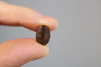 Close-up of hand holding bread against white background