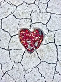 Rose petals in heart shape on cracked land