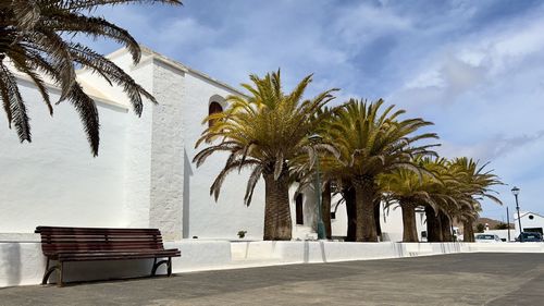 Palm trees on beach against sky in femés yaiza lanzarote