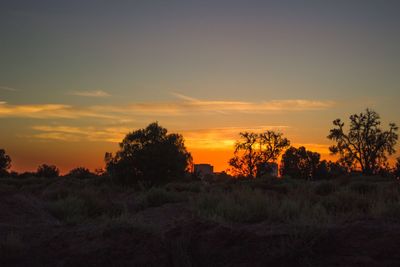 Silhouette trees on field against sky at sunset