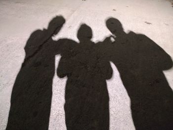 Shadow of people on zebra crossing