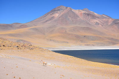 Scenic view of desert against clear sky