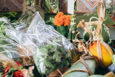 Close-up of pumpkin flowers