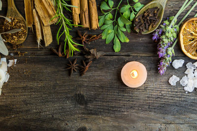 High angle view of potted plant on table