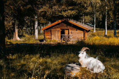 View of a house on a field