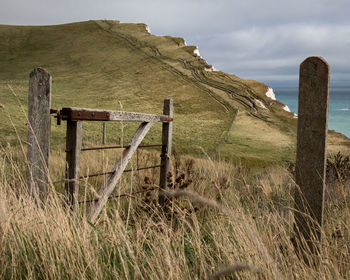 Damaged gate on grassy field