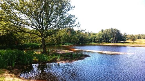 Scenic view of river against clear sky