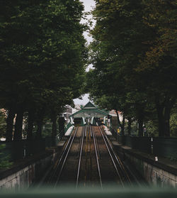 Railroad tracks amidst trees