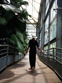 Rear view of woman walking on railing