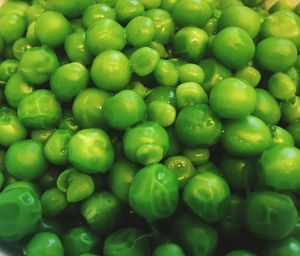 Full frame shot of green water in container