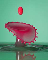Close-up of red splashing water against white background