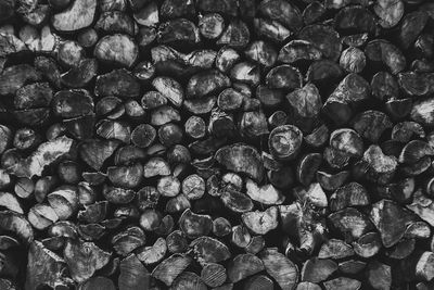 Full frame shot of firewood