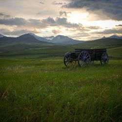 Horse cart in field against sky during sunset