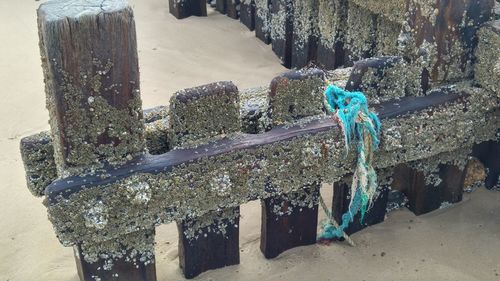 Close-up of carving on wall